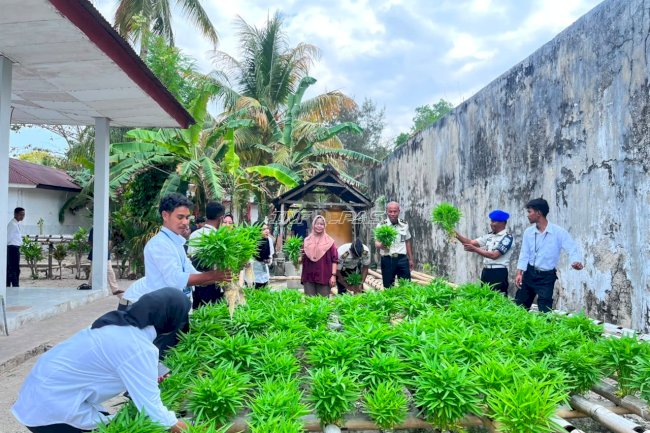 Dukung Ketahanan Pangan, Lapas Geser Panen 90 Ikat Kangkung Hidroponik Modifikasi