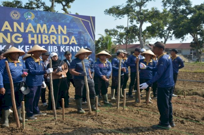 Optimalkan Produktivitas Lahan, Lapas Terbuka Kendal Mulai Tanam Jagung Periode Kedua