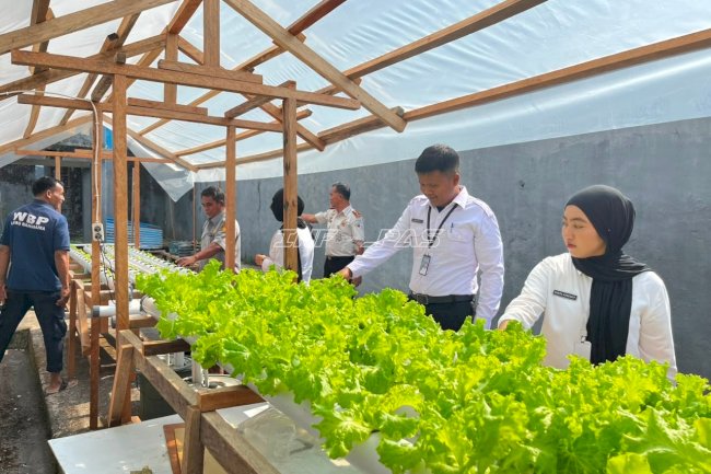 Kenalkan Hidroponik kepada Peserta Magang, Lapas Bandanaira Perluas Edukasi Ketahanan Pangan