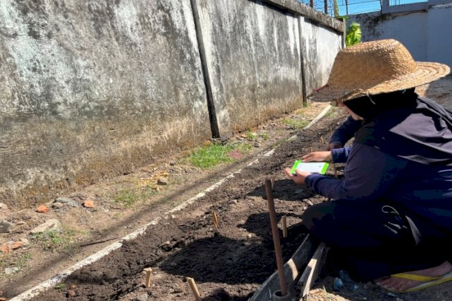 Budidaya Mentimun, Peserta Magang dan Warga Binaan Lapas Perempuan Martapura Laksanakan Penanaman Benih 