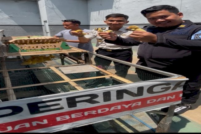 Wujud Nyata Dukung Ketahanan Pangan, Lapas Mojokerto Panen Itik Hasil Pembinaan