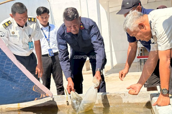 Perkuat Pembinaan Kemandirian, Rutan Majene Tebar 500 Benih Ikan Nila