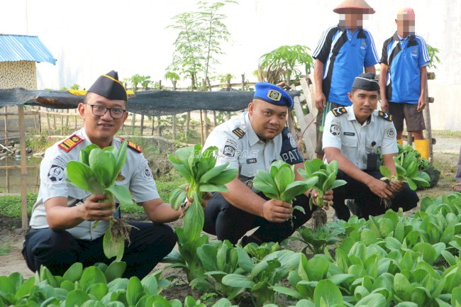 Program Pembinaan Berbuah Hasil, Lapas Parigi Panen 75 Ikat Pakcoy dan 23 Kilogram Terong