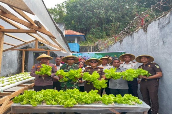 Panen Selada dan Sawi Hijau, Lapas Bandanaira Buktikan Lahan Terbatas Bisa Jadi Sumber Pangan