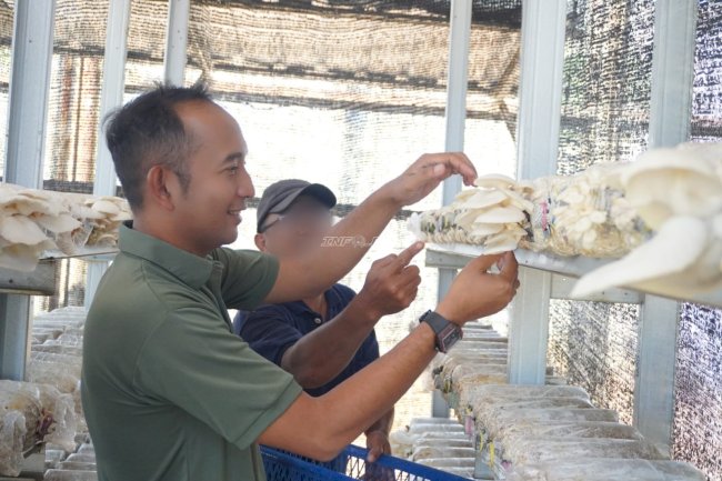 Panen 5 Kg Jamur Tiram, Lapas Banjarbaru Dorong Kemandirian Pangan Warga Binaan