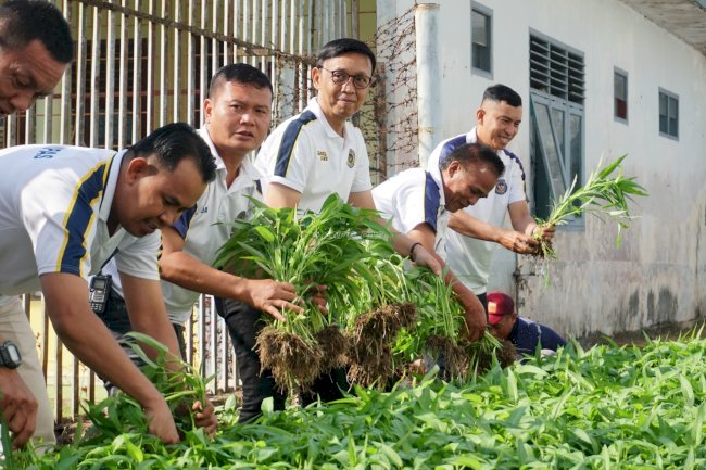 Dari Brandgang untuk Ketahanan Pangan, Lapas Tanjungpandan Panen 75 Kilogram Sayuran