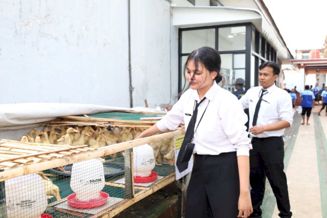 Konsisten Dukung Ketahanan Pangan, Lapas Mojokerto Pindahkan 200 Itik ke Kandang Pembesaran