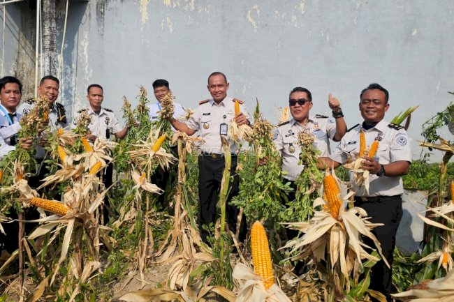 Lapas Pangkalpinang Panen Jagung Pipil dan Kacang Tanah dari Lahan Marginal