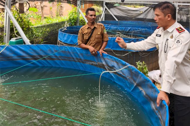 Bapas Amuntai Dampingi Klien Budidaya Ikan Nila hingga Raup Penghasilan