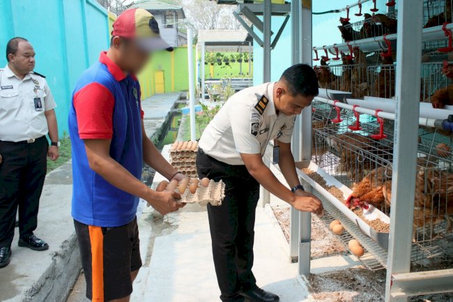 Manfaatkan Lahan Terbatas, Warga Binaan Lapas Banjarmasin Panen 50 Kg Kangkung dan 300 Butir Telur