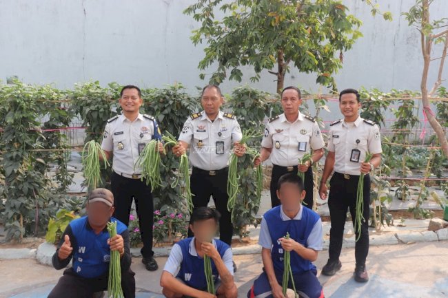 Program Pembinaan Kemandirian Produktif, Lapas Tanjung Panen 11 Kg Kacang Panjang