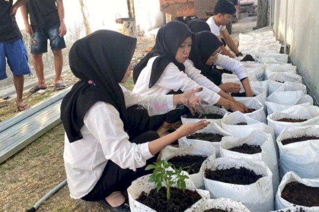 Maksimalkan Pemanfaatan Lahan Produktif, Rutan Majene Tanam Cabai bersama Warga Binaan dan Peserta Magang
