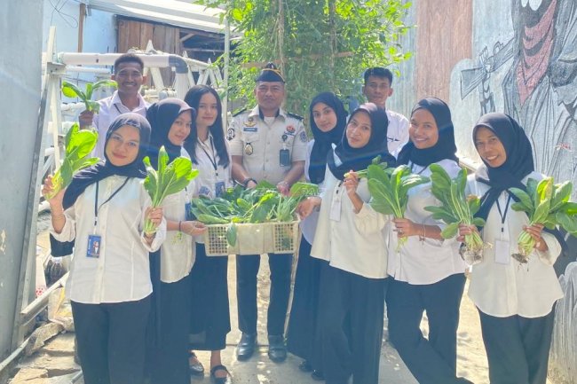 Penuhi Kebutuhan Dapur, Lapas Wahai Panen Sawi bersama Peserta Magang