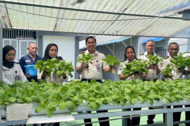 Produktif dan Berkelanjutan, Rutan Ambon Kembali Panen Pakcoy Hidroponik