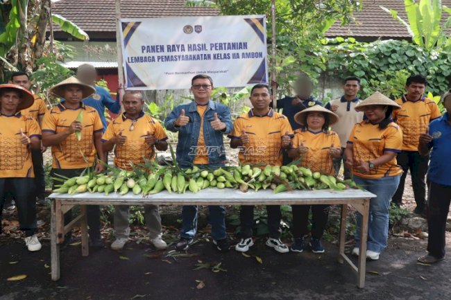 Panen 40 Kg Jagung Manis, Lapas Ambon Sukses Manfaatkan Lahan Tidur untuk Kemandirian Pangan
