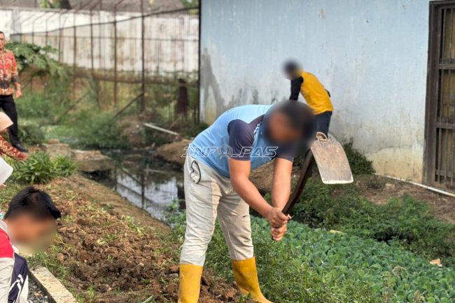 Usai Panen, Rutan Marabahan Siapkan Lahan untuk Jaga Keberlanjutan Pertanian