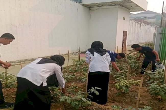 Panen Lagi, SAE Rutan Barabai Hasilkan 25 Kilogram Tomat dan Terung