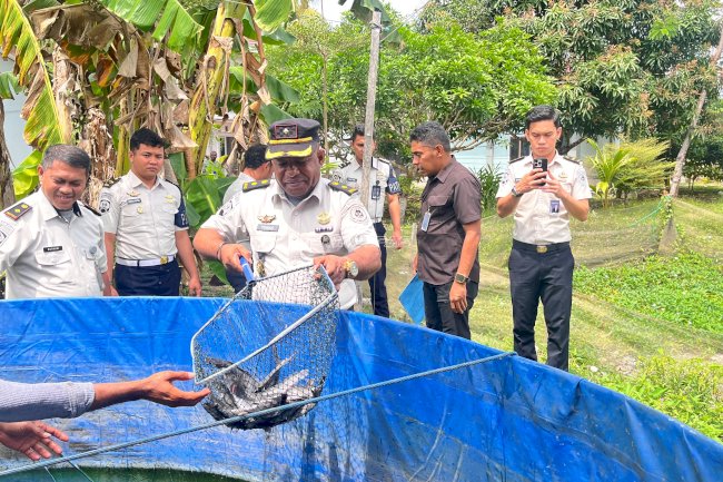 Panen Lele di Tengah Kemarau, Kakanwil Ditjenpas Papua Barat Apresiasi Bapas Manokwari