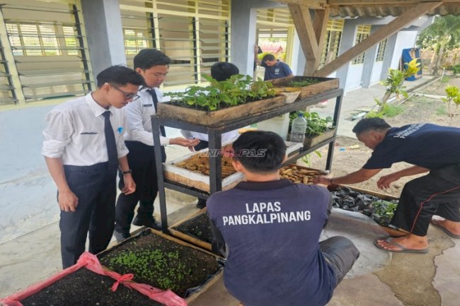  Warga Binaan Lapas Pangkalpinang Ubah Bonggol Jagung Jadi Budidaya Jamur