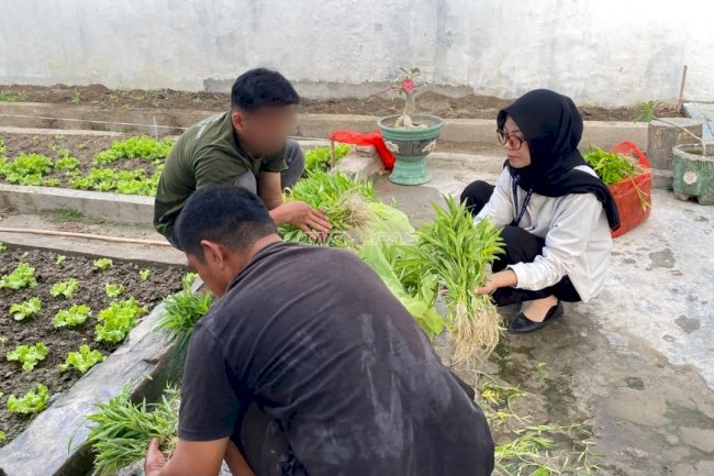 Panen 80 Kilogram Kangkung, Rutan Majene Libatkan Warga Binaan dan Peserta Magang