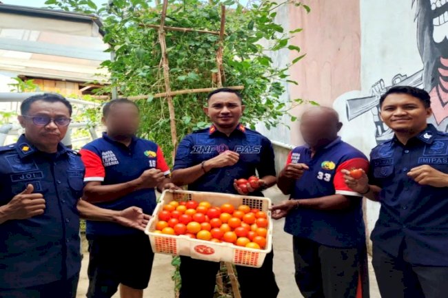 Akhir Pekan Produktif, Lapas Wahai Panen 14 Kg Tomat dari Kebun Hidroponik