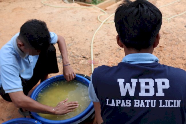 Lapas Batulicin Kembali Produksi 17 Kg Tauge, Pembinaan Kemandirian Terus Bergerak
