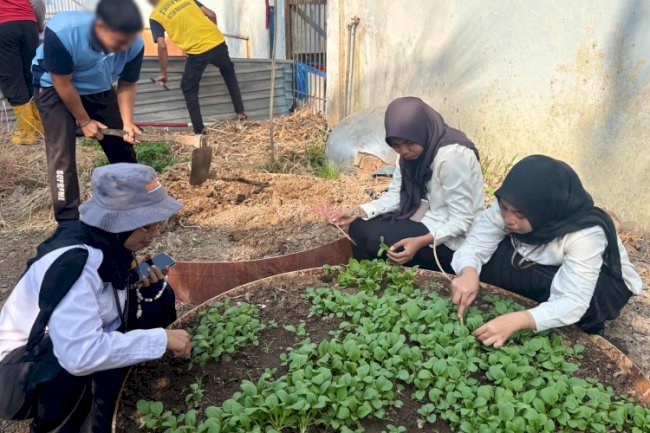 Rutan Marabahan Tambah Varietas Tanaman melalui Pengembangan Pakcoy bagi Warga Binaan