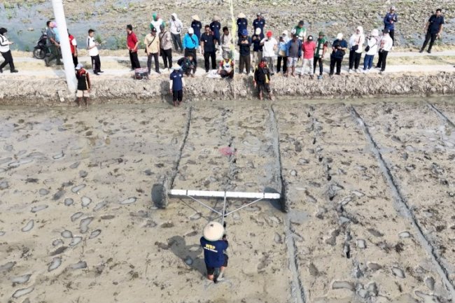 Lapas Purwodadi Turut Sukseskan Tanam Padi Serentak Dinas Pertanian se-Jawa Tengah