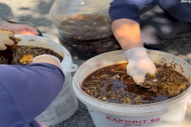 Kembangkan Kemandirian Berkelanjutan, Lapas Perempuan Martapura Monitoring Pertanian dan Eco Enzyme