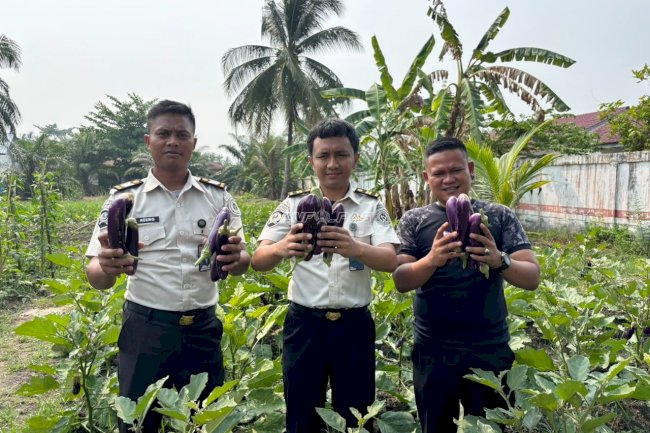 Panen 20 Kg Terong, Lapas Labuhan Bilik Setorkan PNBP dan Beri Premi Warga Binaan