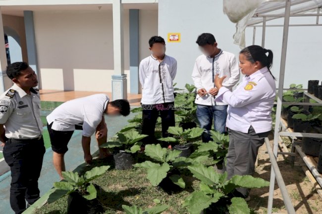 Budidaya Pertanian, LPKA Ambon Ajarkan Anak Binaan Pemberian Pupuk Organik Cair 