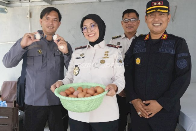 Panen 304 Butir Telur Ayam, Kakanwil Ditjenpas Babel Apresiasi Produktivitas Rutan Muntok
