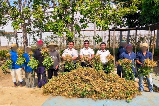 Panen 50 Kg Kacang Tanah, Lapas Banjarbaru Buktikan Pembinaan Produktif