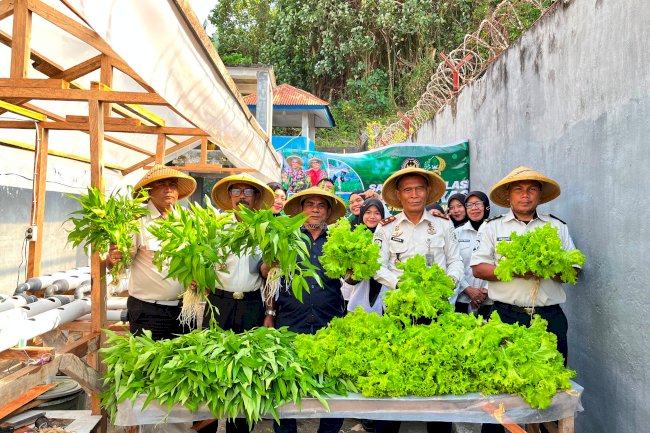 Panen 35 Ikat Sayuran Hidroponik, Lapas Bandanaira Perkuat Program Ketahanan Pangan ‎