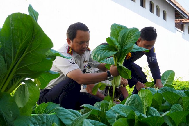 Panen Hasil Budidaya, Warga Binaan Rutan Magetan Asah Keterampilan Kemandirian