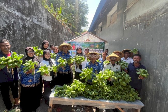 Produktif dan Berkelanjutan, Lapas Bandanaira Kembali Panen Sayuran Hidroponik