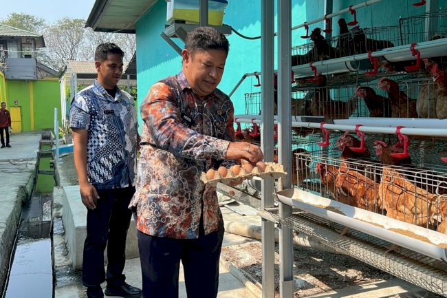 Dari Lahan Idle Jadi Produktif, Lapas Banjarmasin Kembangkan Ayam Petelur dan Panen 88 Kg Kangkung