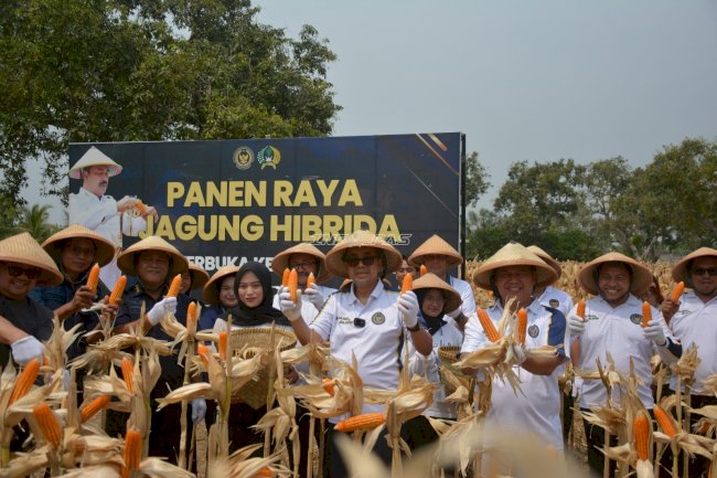 Lapas Terbuka Kendal Panen Jagung dan Kembangkan 74 Pohon Mangga Premium