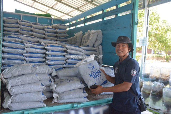 Pasarkan 3 Ton Pupuk Kohe Giling, Lapas Terbuka Kendal Perkuat Produktivitas Pembinaan Kemandirian
