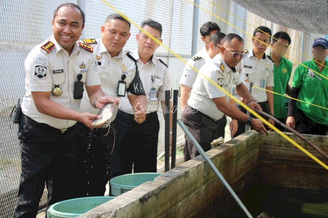 Panen 300 Kg Gurame, Lapas Narkotika Pangkalpinang Kembangkan Budidaya Perikanan Air Tawar