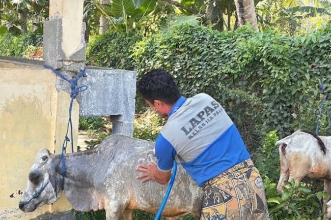 Lapas Palu Dorong Kemandirian Warga Binaan melalui Pembinaan Peternakan