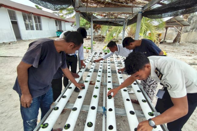 Lapas Geser Kembangkan Keterampilan Warga Binaan melalui Hidroponik Pakcoy