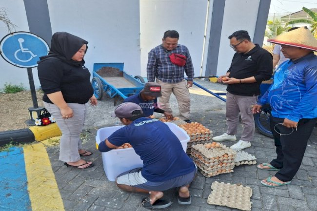 Sebanyak 105,5 Kg Telur dan 29 Ikat Pakcoy Ludes Terjual, Bukti Produktivitas Warga Binaan Lapas Pemuda Madiun