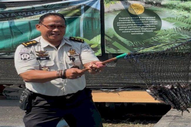 Lapas Kelas I Madiun Panen 60 Kilogram Lele dan 15 Kilogram Telur Ayam di Brandgang Ecopark
