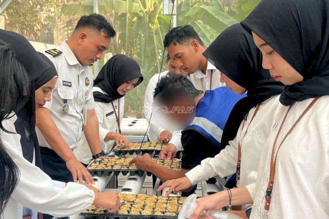 Bapas Tanjungpandan Manfaatkan Rumah Hidroponik sebagai Ruang Pembelajaran bagi Klien