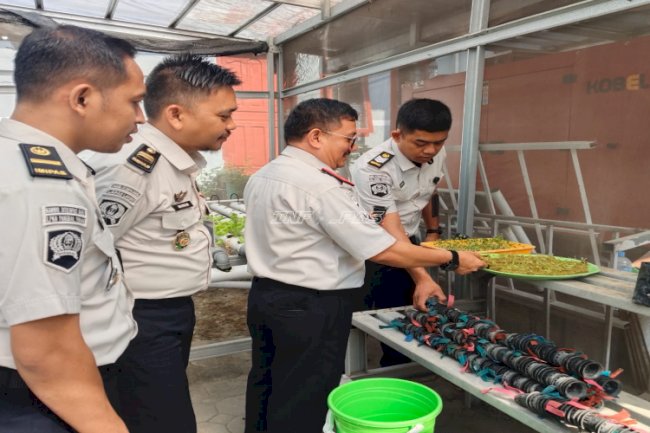 LPKA Pangkalpinang Dukung Ketahanan Pangan lewat Penyemaian Bibit Sayur Hidroponik
