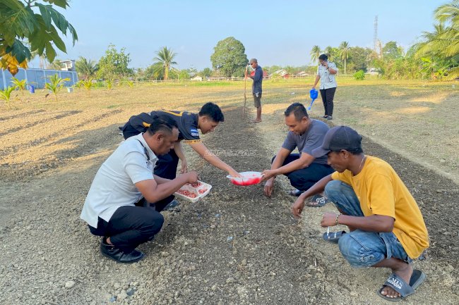 Berkelanjutan dan Produktif, Rutan Masohi Tambah Tanaman Kacang Tanah di Lahan SAE