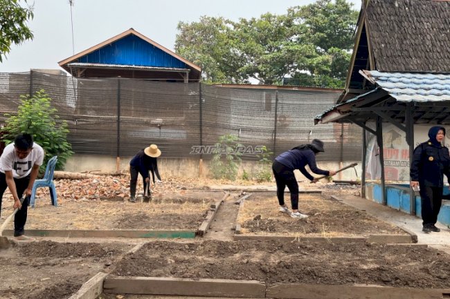 Asah Kemandirian, Lapas Perempuan Martapura Olah Lahan SAE untuk Budidaya Sayuran