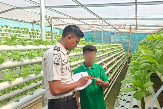 Lapas Kolonodale Manfaatkan Lahan Tidur untuk Pembinaan Pertanian