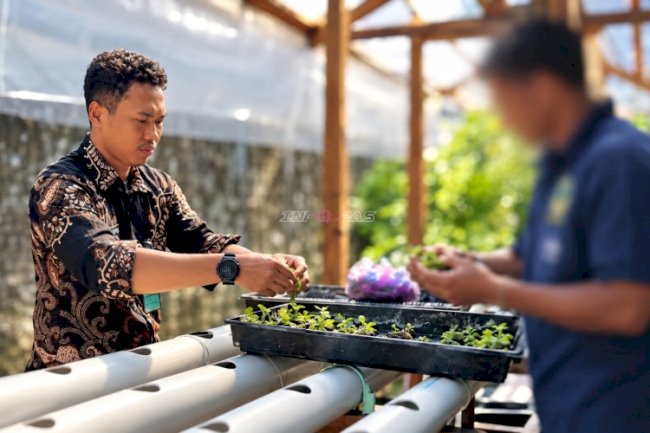 Semai Keterampilan, Warga Binaan Lapas Bandanaira Budidaya Pakcoy dan Selada Hidroponik di Area Brandgang